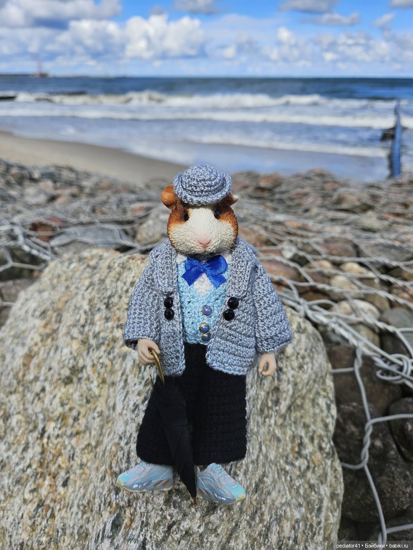 Каникулы морского свина Густава (фото 2)