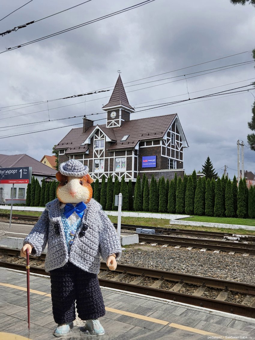 Каникулы морского свина Густава