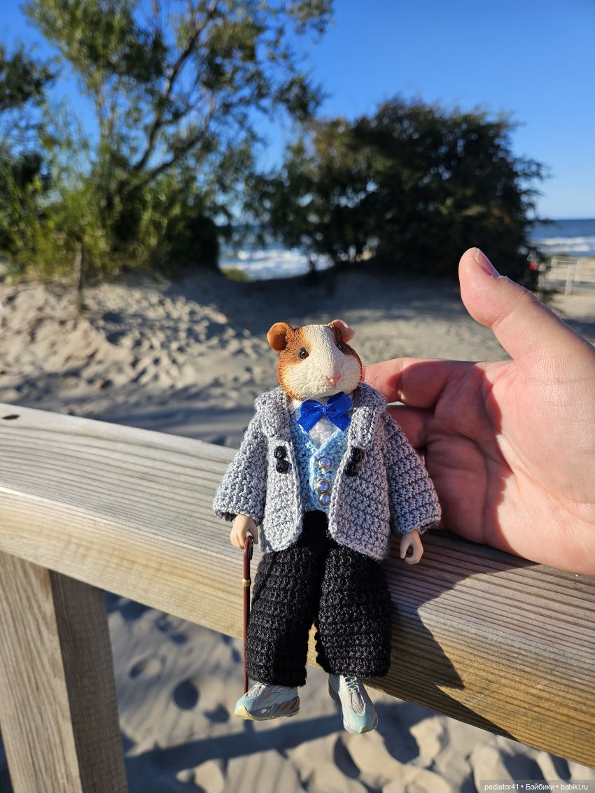 Каникулы морского свина Густава (фото 4)