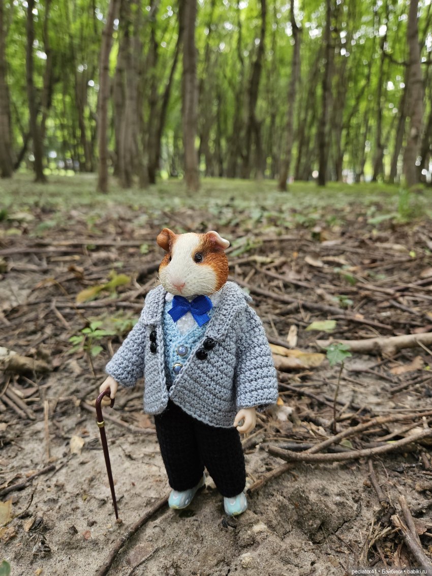 Каникулы морского свина Густава