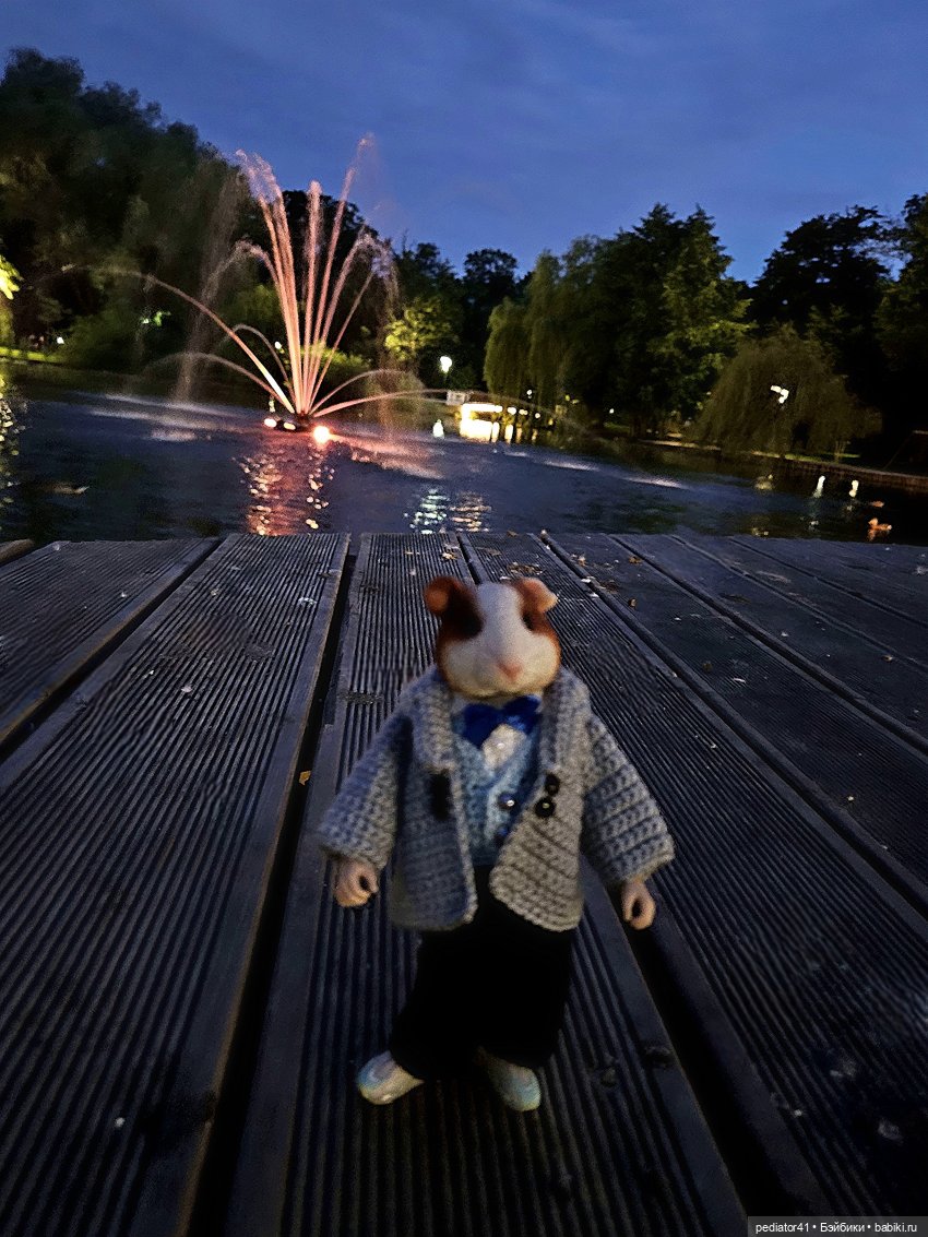 Каникулы морского свина Густава