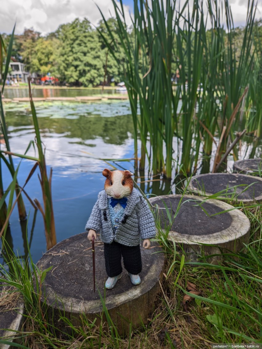 Каникулы морского свина Густава (фото 7)
