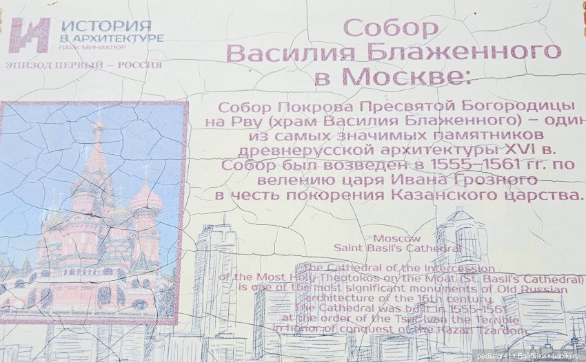 Каникулы морского свина Густава. часть 2 (фото 8)