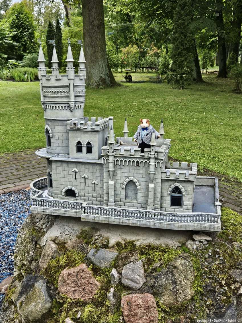 Каникулы морского свина Густава. часть 2 (фото 2)