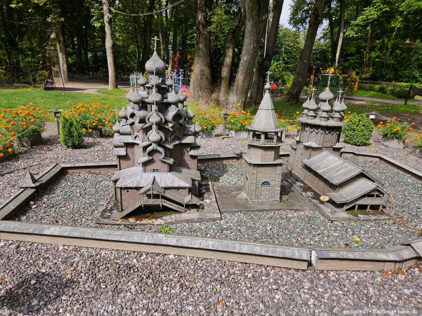 Каникулы морского свина Густава. часть 2 (фото 9)