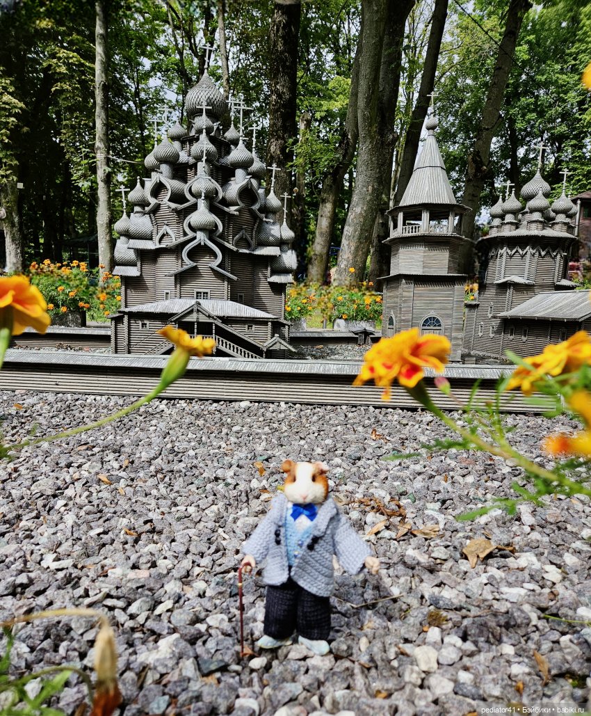 Каникулы морского свина Густава. часть 2 (фото 10)