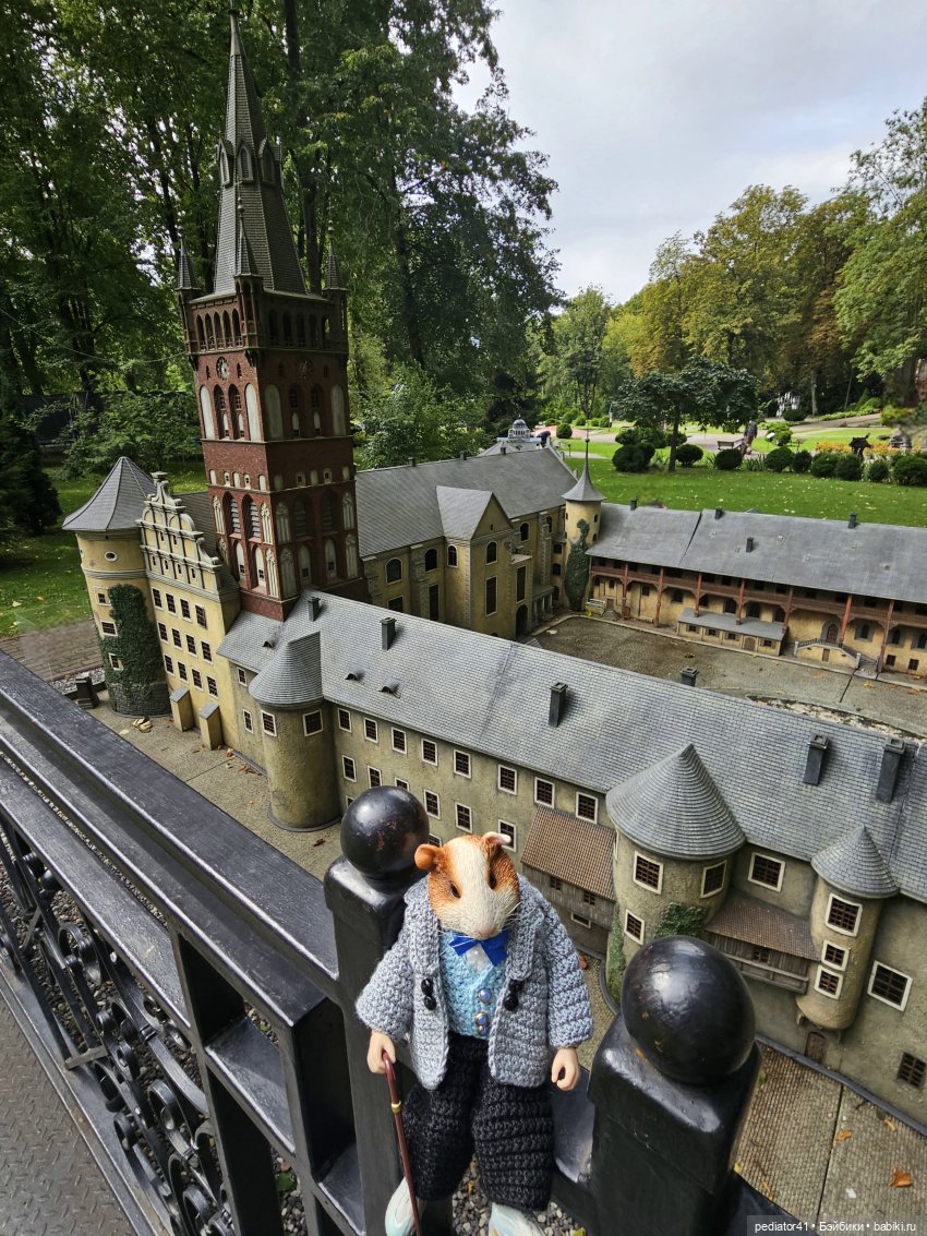 Каникулы морского свина Густава. часть 2