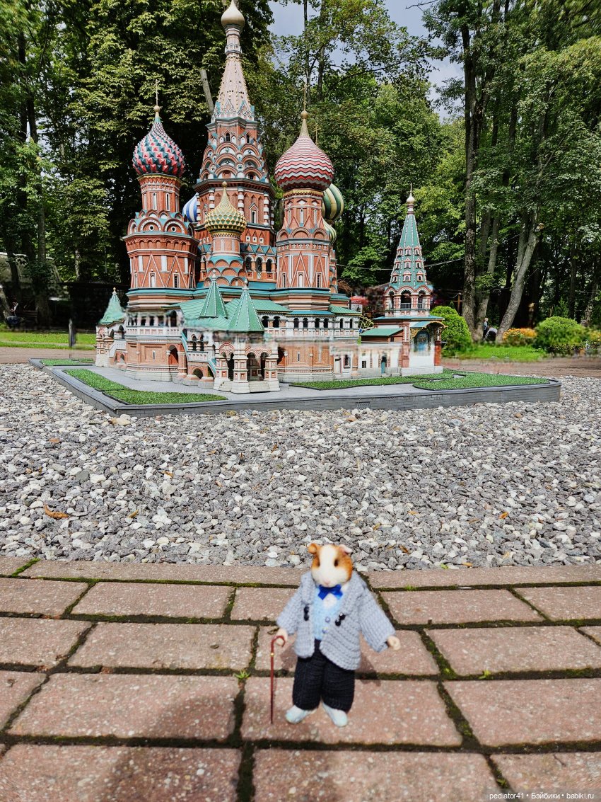 Каникулы морского свина Густава. часть 2 (фото 7)