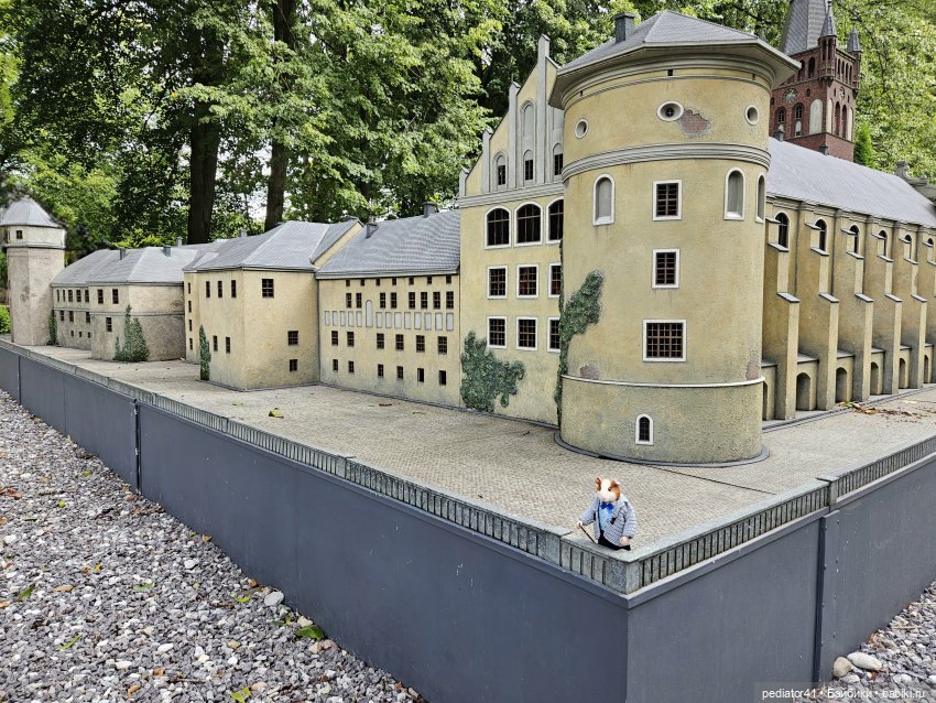 Каникулы морского свина Густава. часть 2