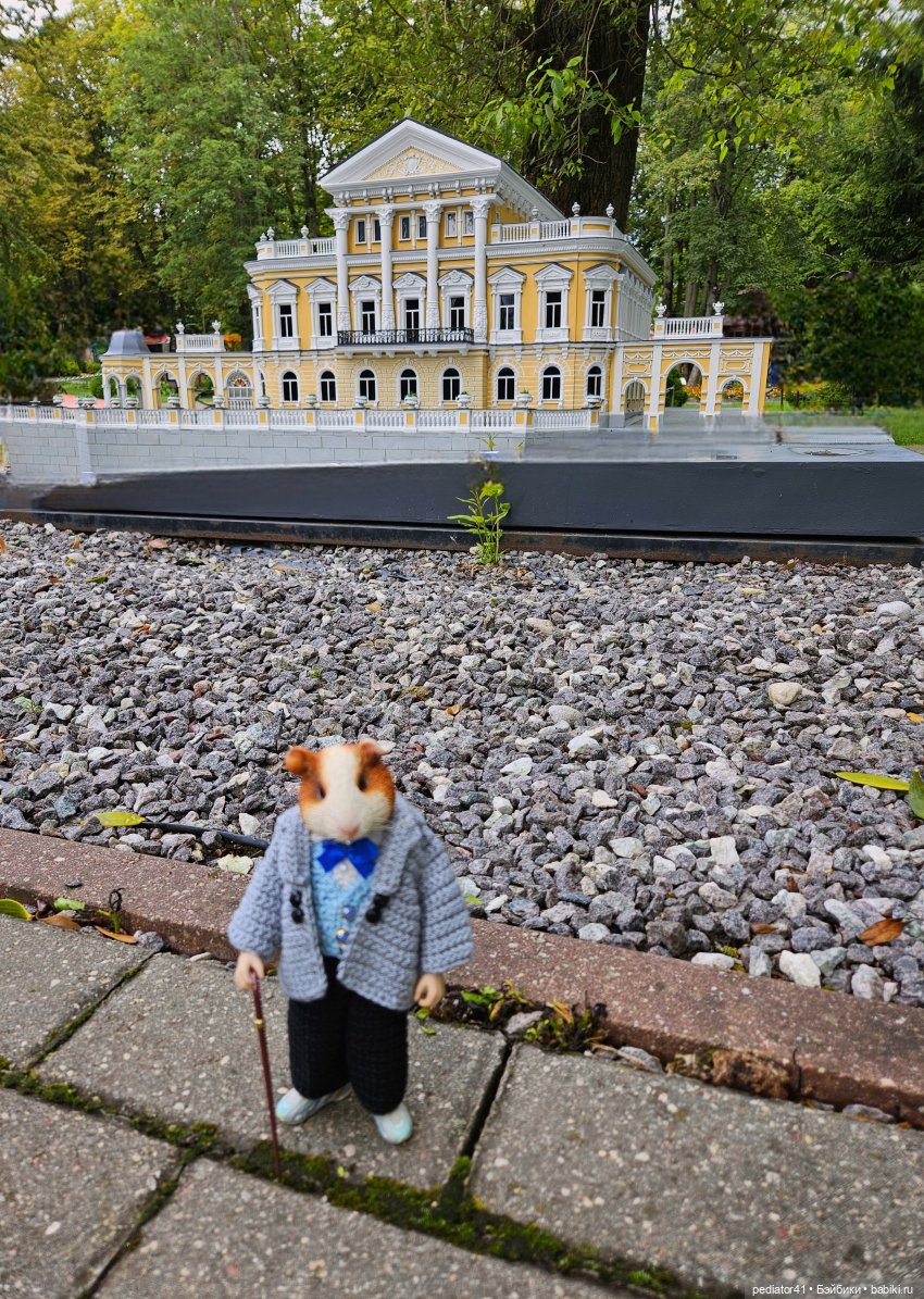 Каникулы морского свина Густава. часть 2