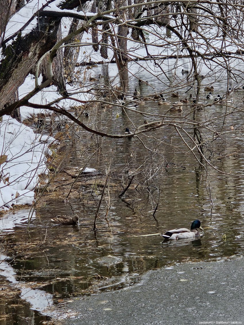 Утиный пруд — Куклы Reina del Norte (Рейна дель Норте): Северянки (фото 6)
