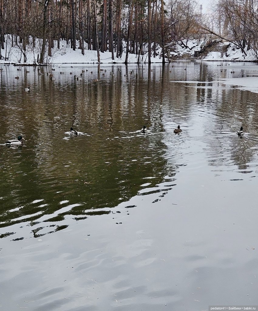 Утиный пруд — Куклы Reina del Norte (Рейна дель Норте): Северянки (фото 7)