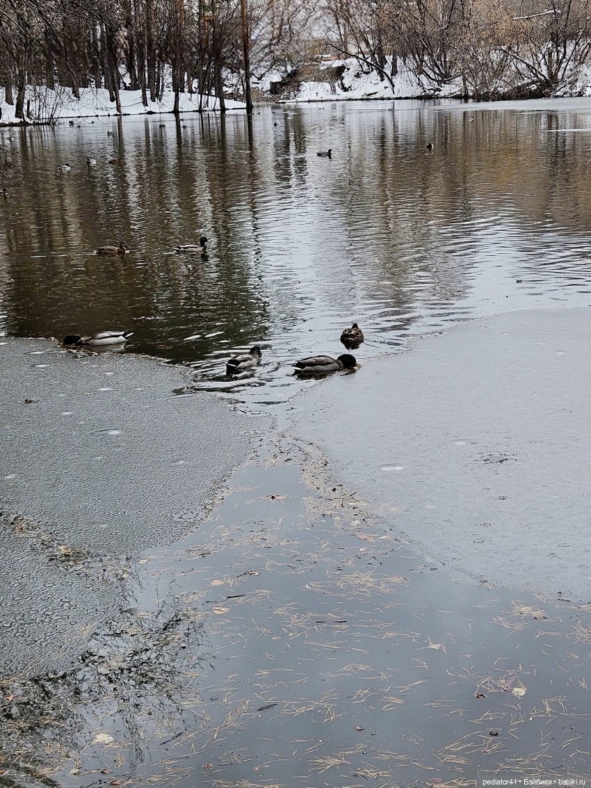 Утиный пруд — Куклы Reina del Norte (Рейна дель Норте): Северянки