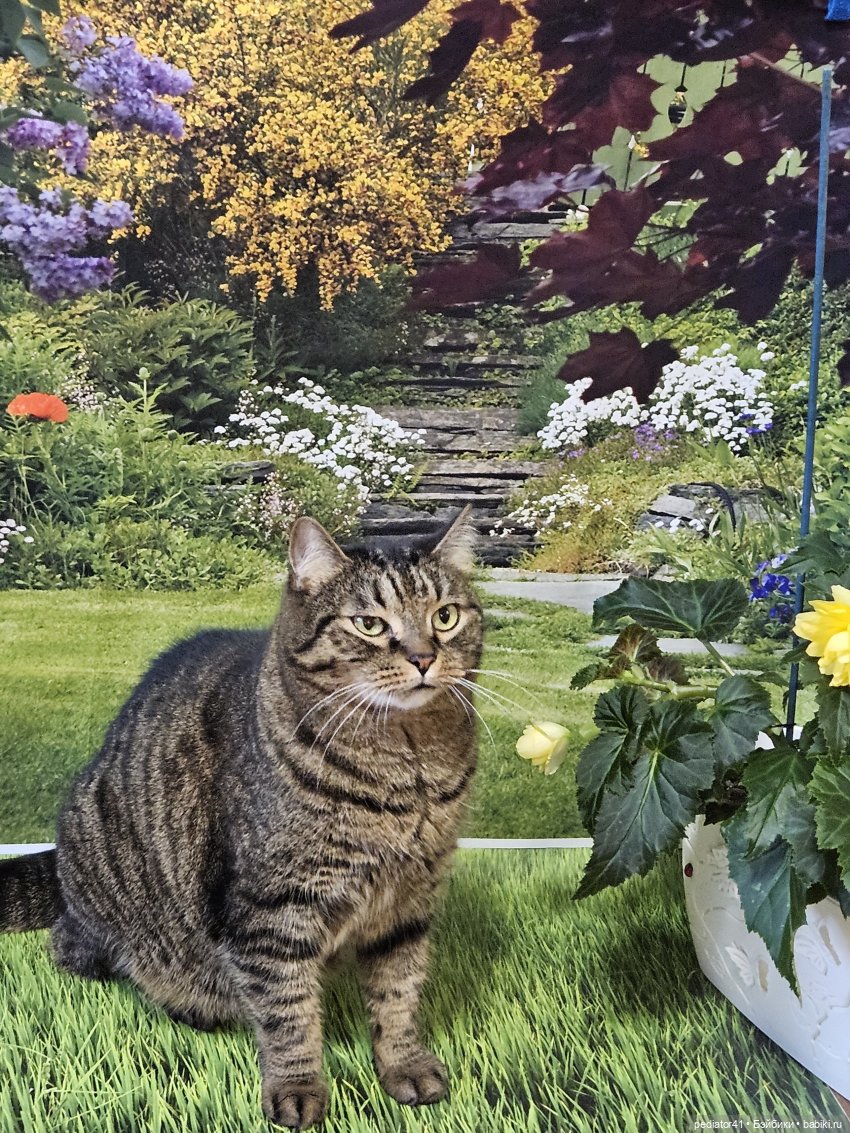 Две сестры. Лето в деревне