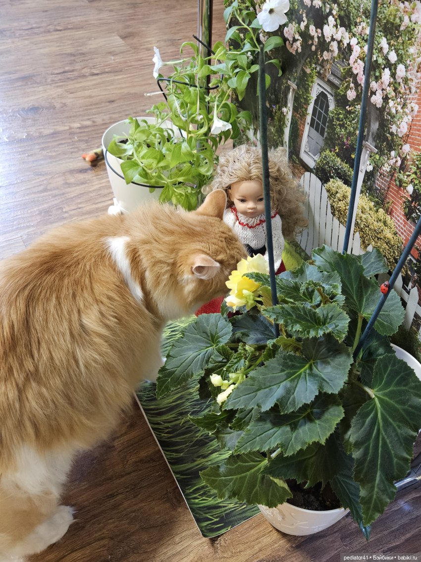 Две сестры. Лето в деревне | Бэйбики Две сестры. Лето в деревне