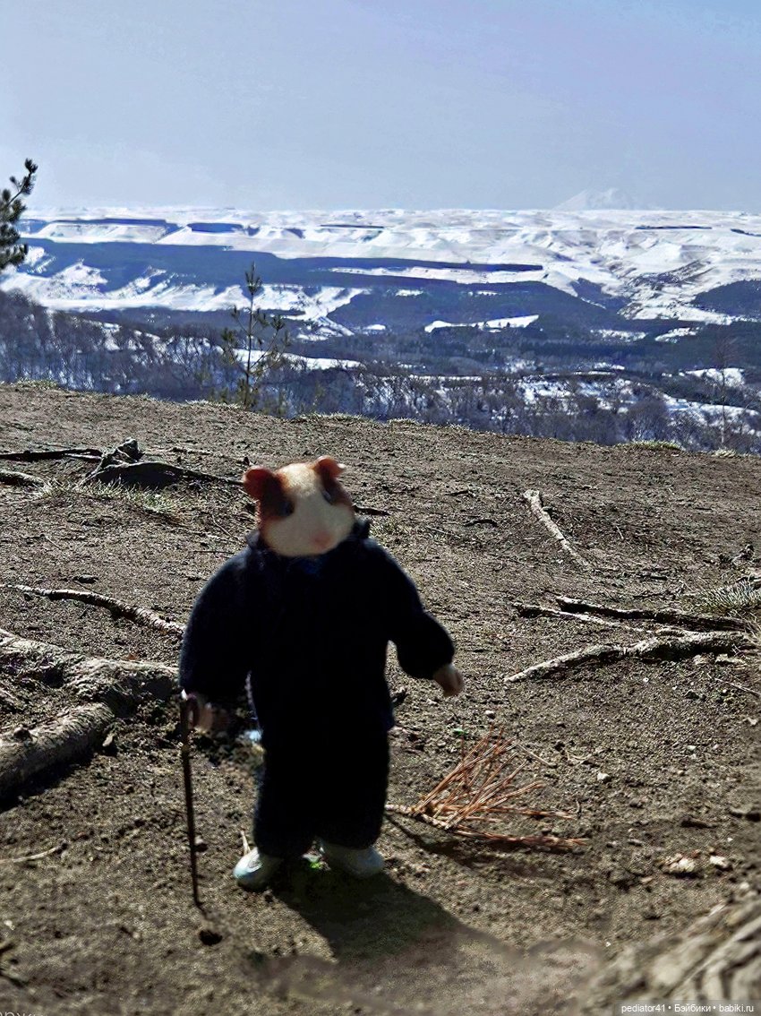 Кавказские зарисовки Густава