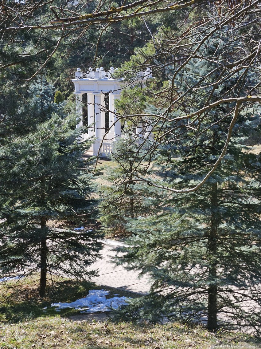 Кавказские зарисовки Густава (фото 2)