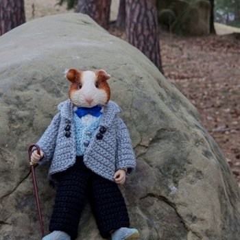 Кавказские зарисовки Густава