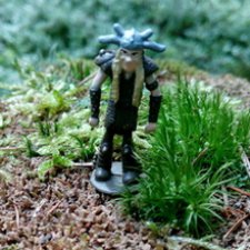 Забияка в лесу