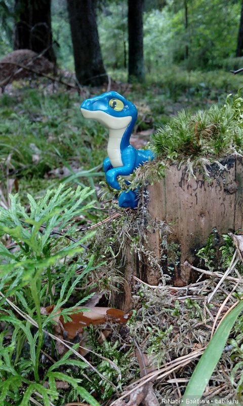 Лес Юрского периода, или прогулка с динозаврами