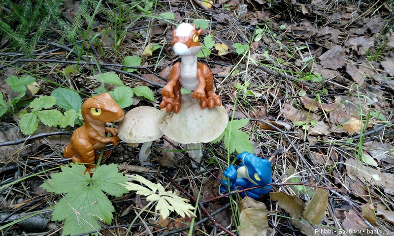 Лес Юрского периода, или прогулка с динозаврами