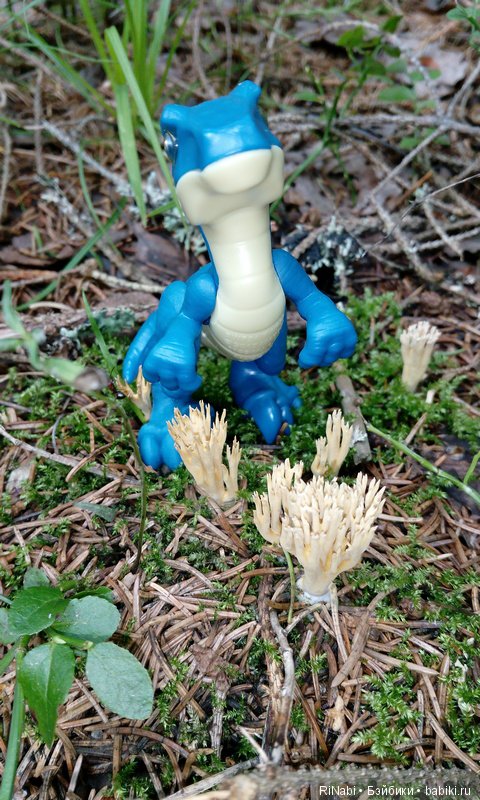 Лес Юрского периода, или прогулка с динозаврами