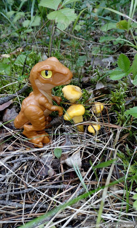 Лес Юрского периода, или прогулка с динозаврами