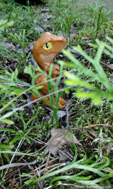 Лес Юрского периода, или прогулка с динозаврами