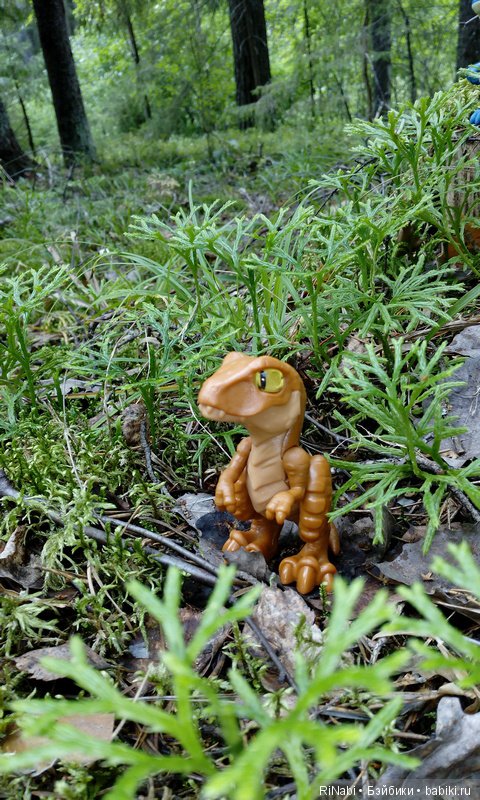 Лес Юрского периода, или прогулка с динозаврами