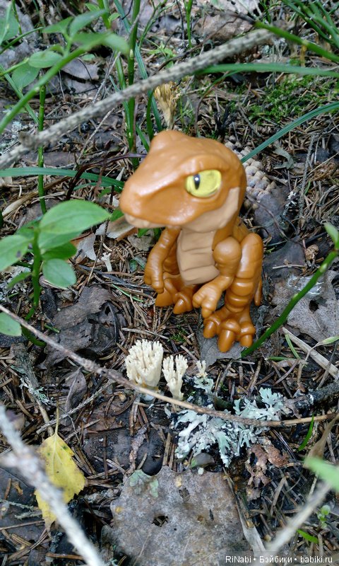 Лес Юрского периода, или прогулка с динозаврами