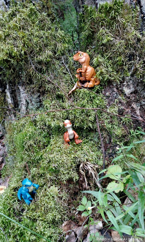 Лес Юрского периода, или прогулка с динозаврами (фото 3)