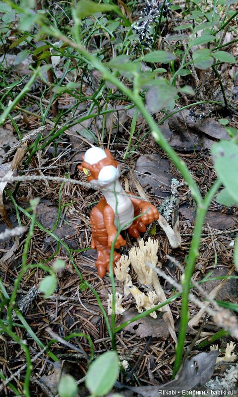 Лес Юрского периода, или прогулка с динозаврами