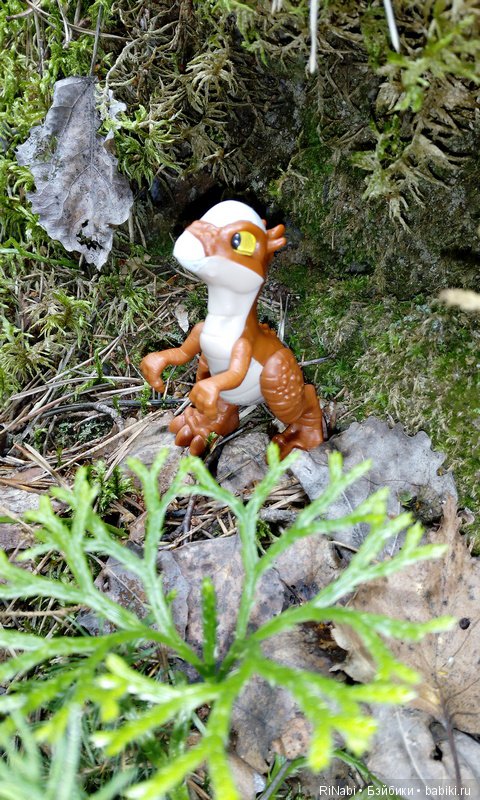 Лес Юрского периода, или прогулка с динозаврами