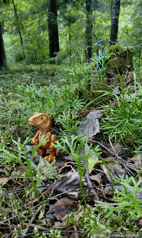 Лес Юрского периода, или прогулка с динозаврами