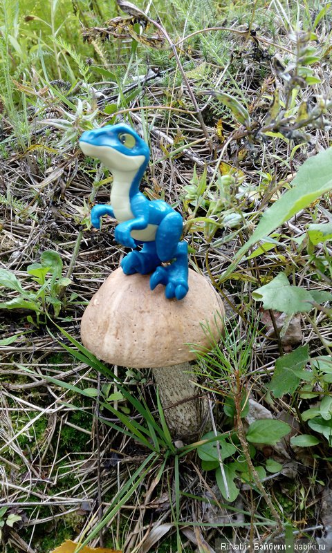 Лес Юрского периода, или прогулка с динозаврами