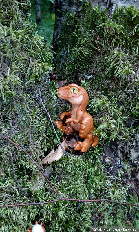 Лес Юрского периода, или прогулка с динозаврами (фото 6)