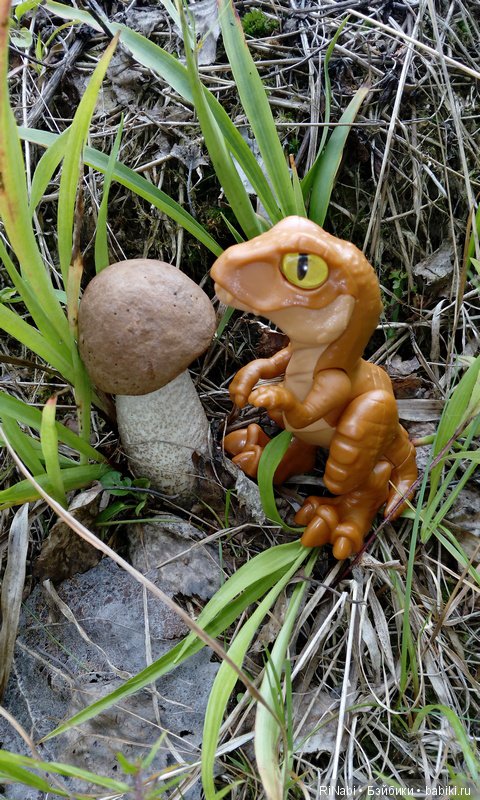 Лес Юрского периода, или прогулка с динозаврами (фото 7)