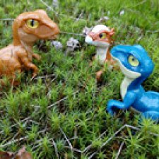 Лес Юрского периода, или прогулка с динозаврами