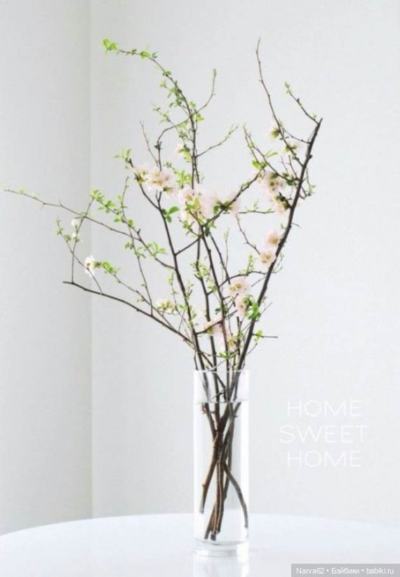 4 декабря - Санта Барбара) (фото 4)