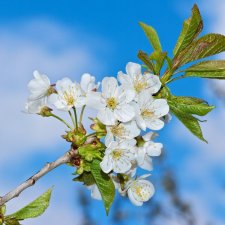 4 декабря - Санта Барбара)