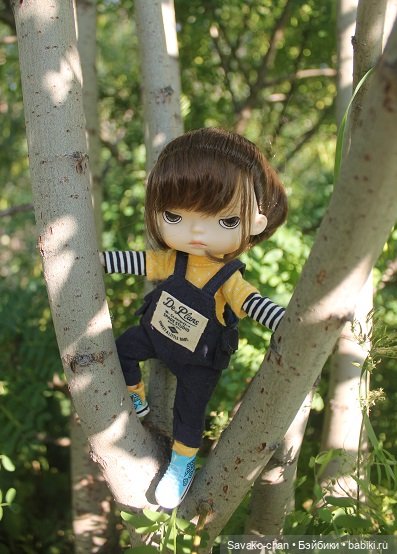 Вокруг озера с Марфушей — Куклы Xiaomi Monst (Сяоми) и Pipitom: шарнирные (фото 7)