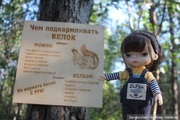 Вокруг озера с Марфушей — Куклы Xiaomi Monst (Сяоми) и Pipitom: шарнирные