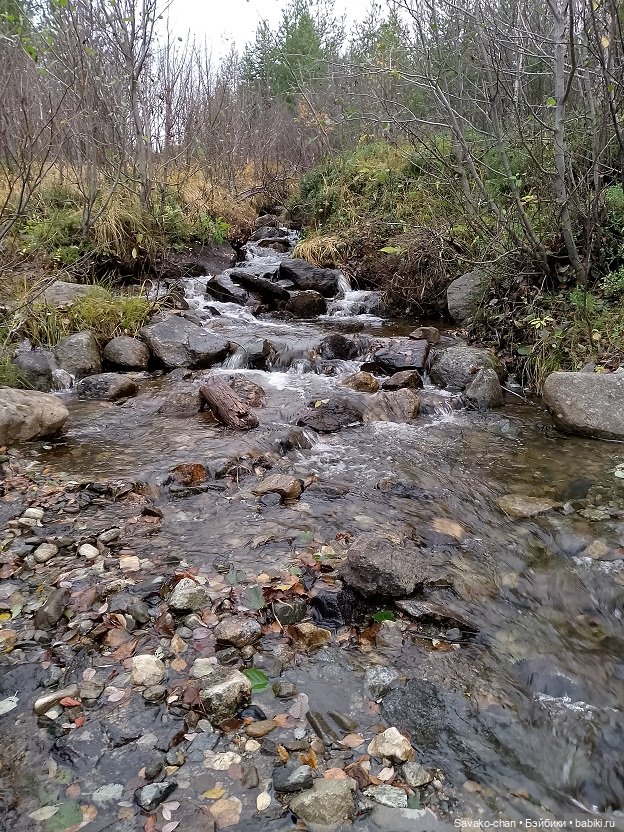 Аксолотль Броня — Интересные игрушки и фигурки (разное): редкие