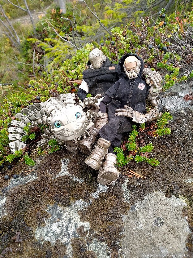 Аксолотль Броня — Интересные игрушки и фигурки (разное): редкие