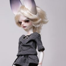 Кукла БЖД (BJD) - Dream Valley 1/6 wolf boy Aiden купить в Шопике