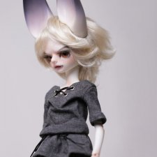 Dream Valley 1/6 wolf boy Aiden