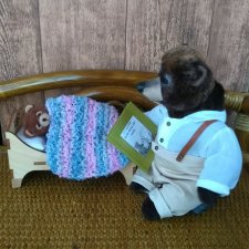 Из жизни игрушек. Сказка на ночь