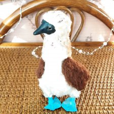 Голубоногая олуша