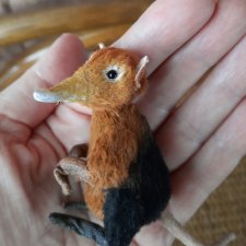 В зоопарке новый житель