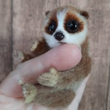 Мини теддики